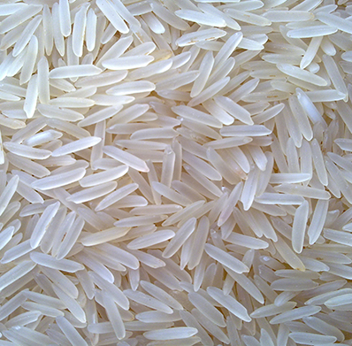 Buy Online Basmati Rice In IndiaSexiezPix Web Porn
