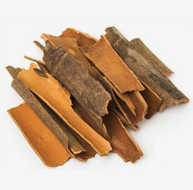 Cinnamon Stick Supplier & Exporters in Guntur, India