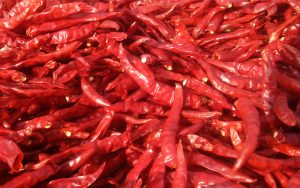 dry red chilli exporters