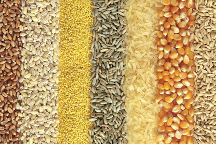 Wheat Grain Manufacturer and Supplier in India