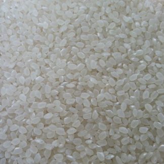 Japonica Round Rice Wholesaler in India