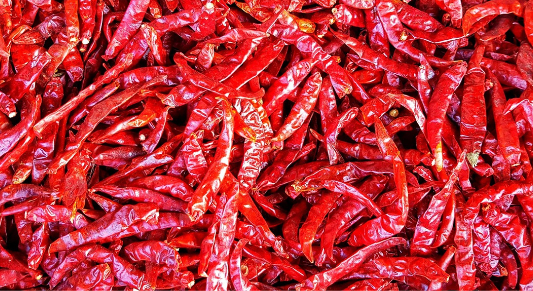 dry red chilli