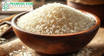 Understanding Broken Rice: Uses, Benefits, Market Demand, and Key Features