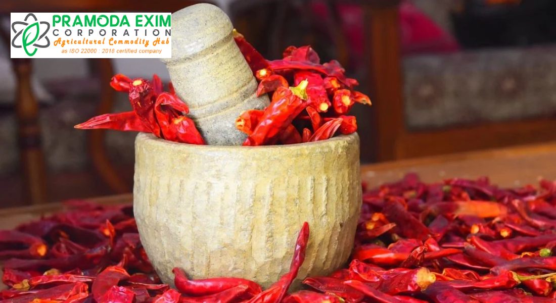 guntur dry red chilli