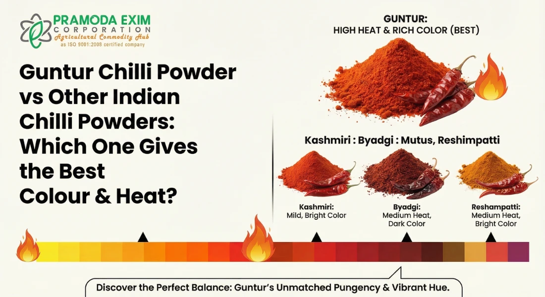 guntur-chilli-powder-vs-other-indian-chilli-powders