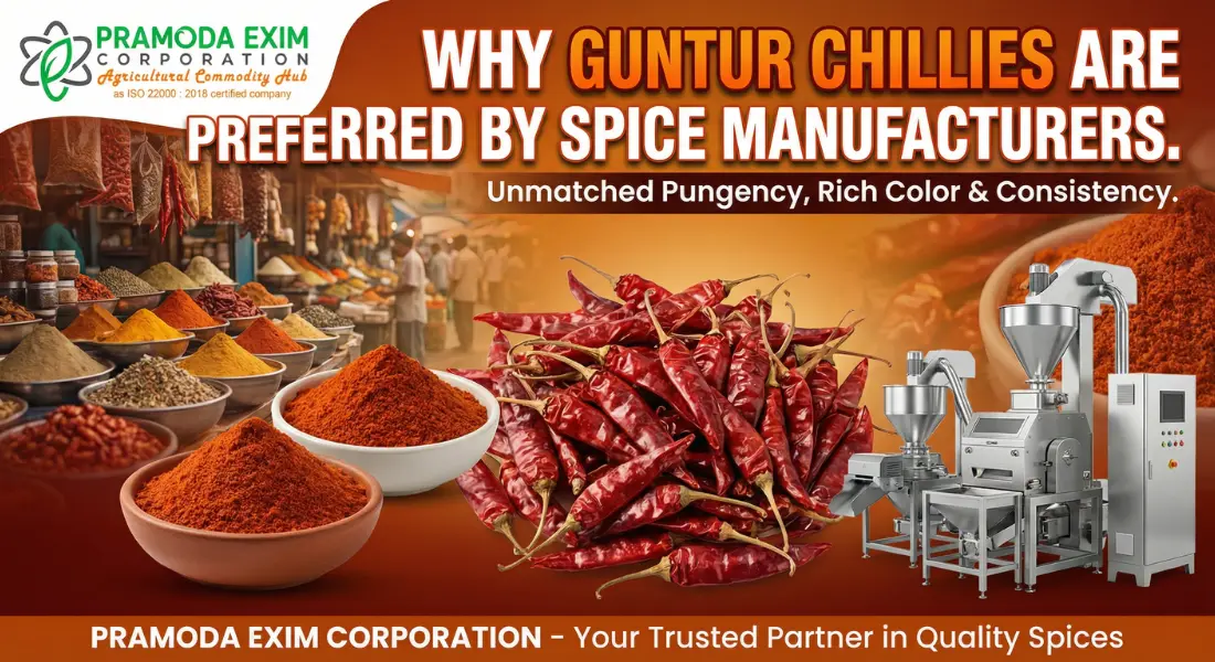 why guntur chillies are preferred by spice manufacturers