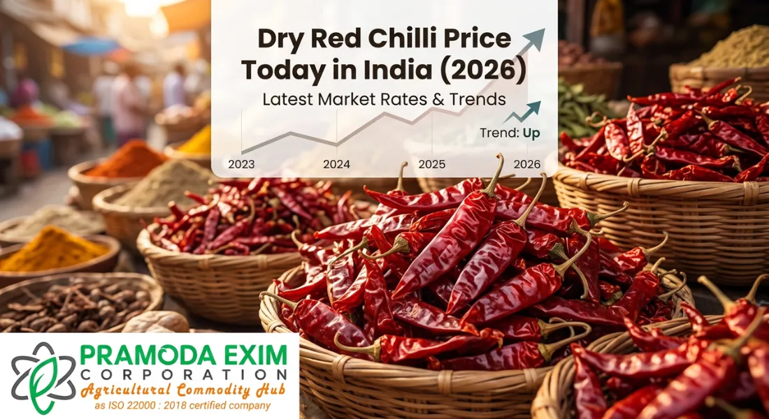 dry-red-chilli-price-today-in-india